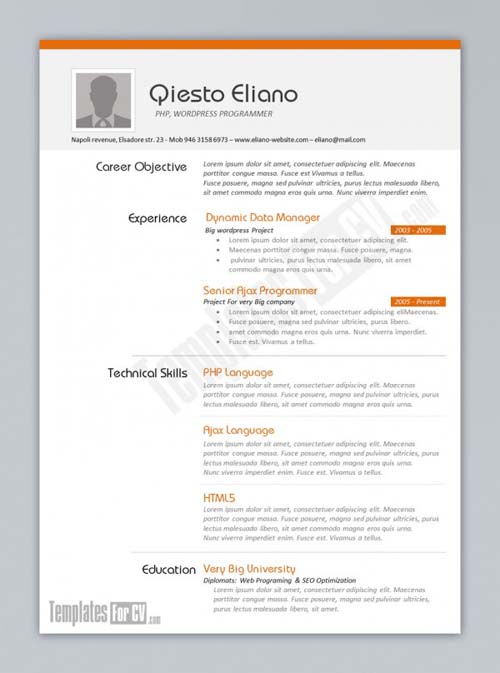 Text Format Resume