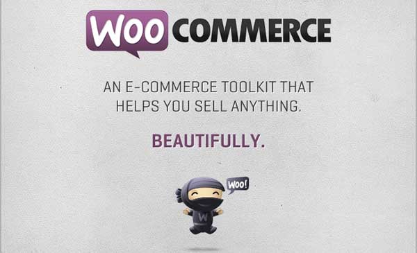 Woocommerce plugin