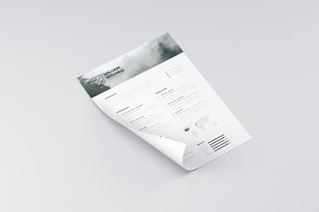 Free-Minimalistic-Clean-Resume