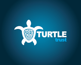 25 Turtle Logo Design Inspiration - Smashfreakz