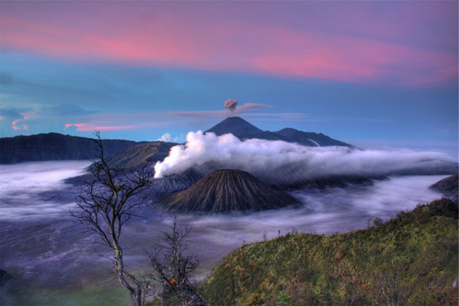 Bromo-small