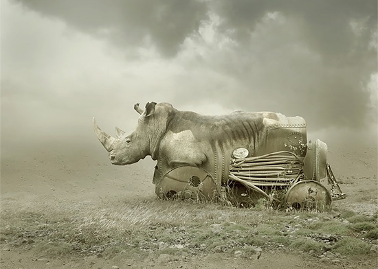 photo-manipulations-by-amandine-van-ray-01