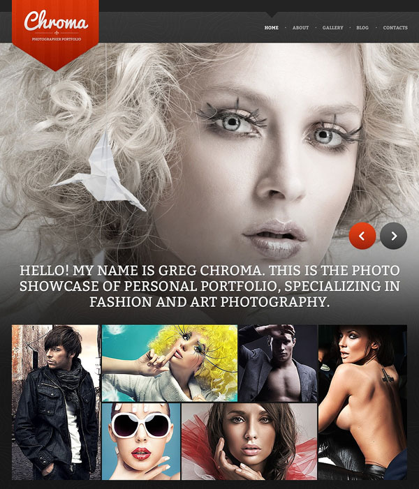 photography-drupal-theme-10