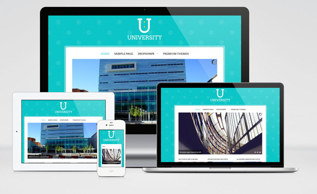 university-wordpress-theme-01