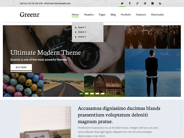 wordpress-theme-january-09