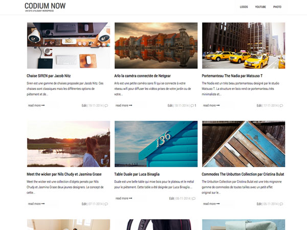 wordpress-theme-january-12