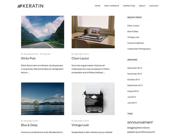 wordpress-theme-january-13