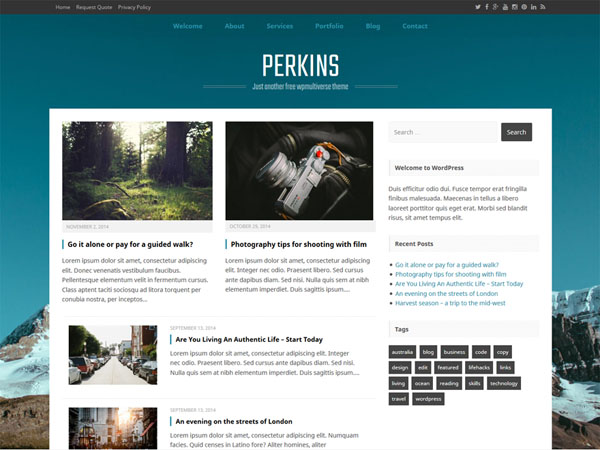 wordpress-theme-january-19