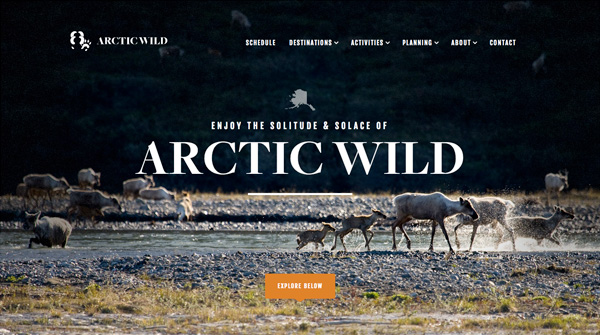 Arctic_Wild