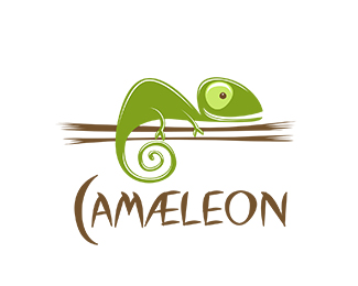 chameleon-logo-12