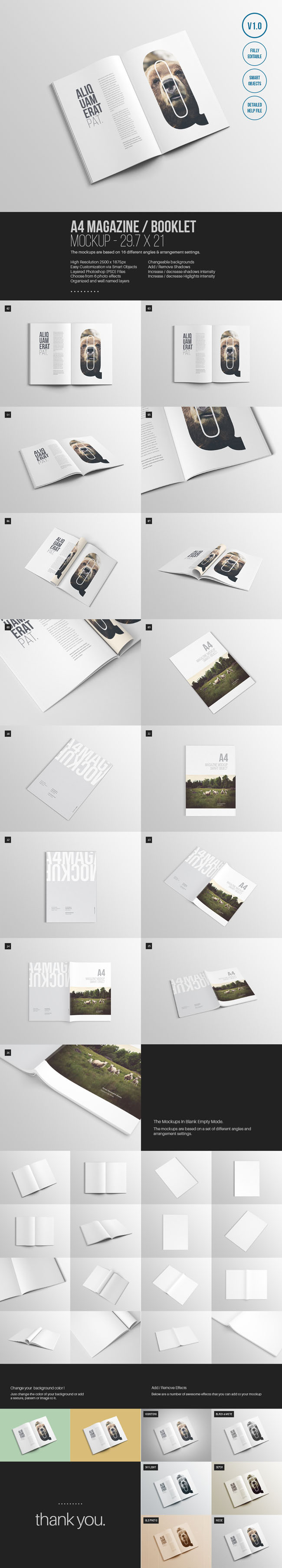 magazine-mockup