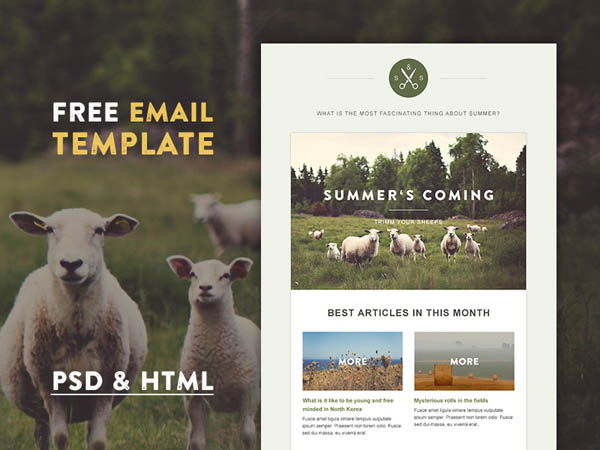 responsive-email-template-03