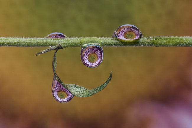 waterdrops-12