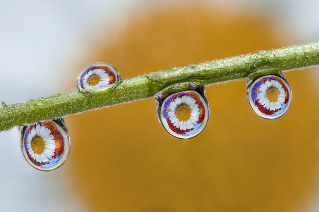 waterdrops-13