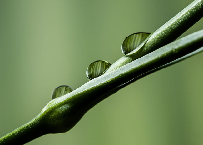 waterdrops-14