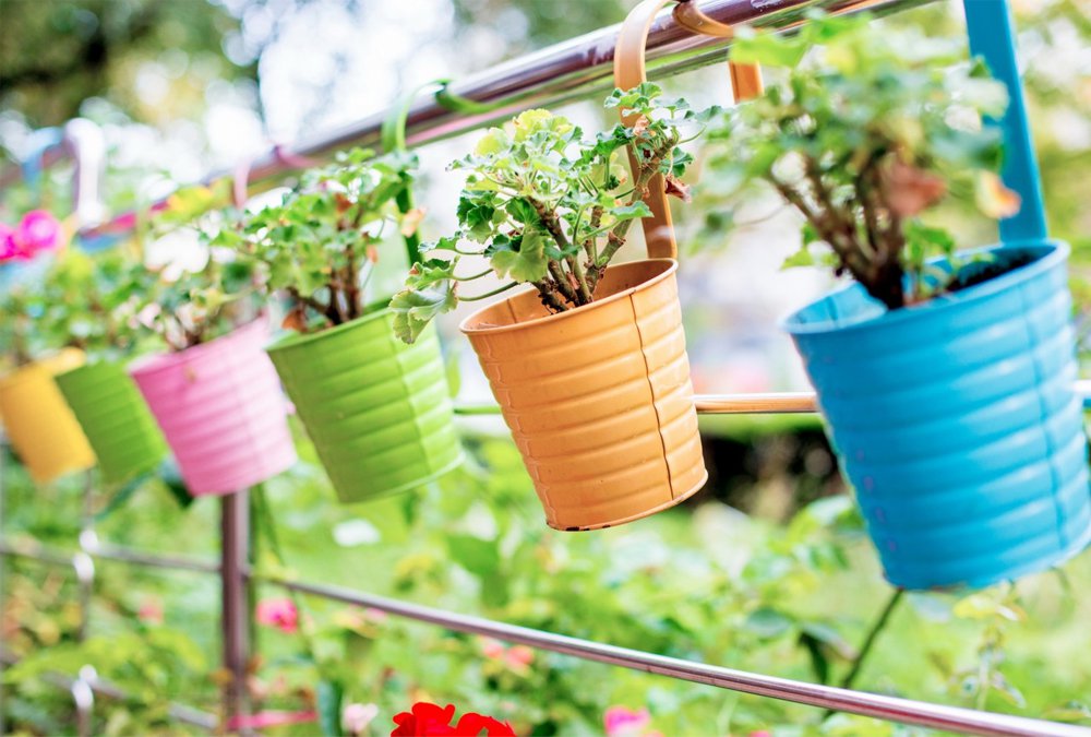 Colorful-Flowerpots