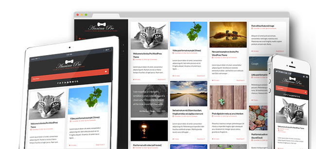 wordpress-theme-march-05