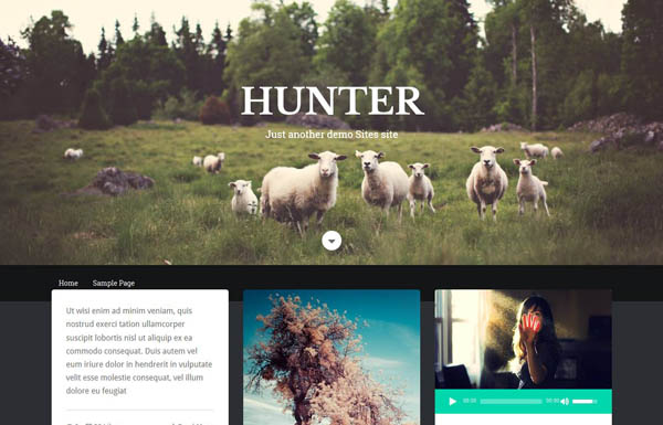 wordpress-theme-march-19