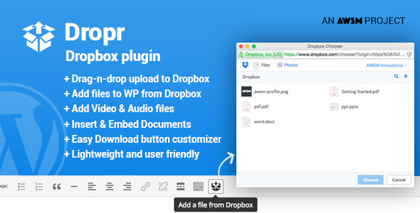 dropbox-wordpress-plugin-01