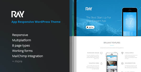 mobile-app-panding-page-wordpress-23