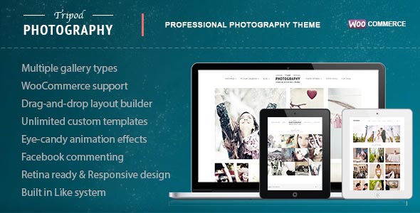 photography-wordpress-theme-06