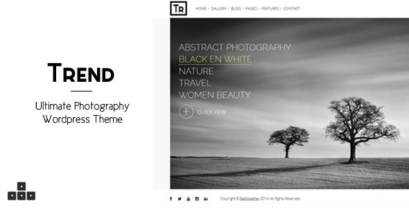 photography-wordpress-theme-36