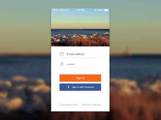 login-form-psd-19