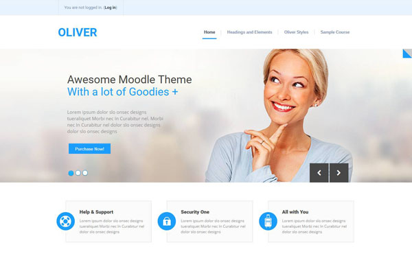 moodle-theme-10