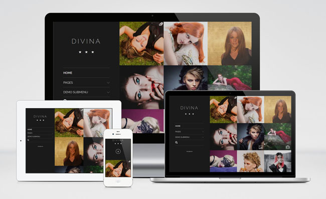 free responsive photograpy WordPress theme