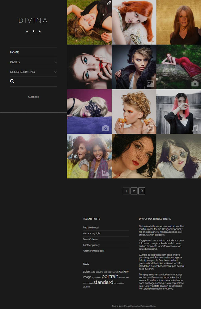 divina-wordpress-theme-06