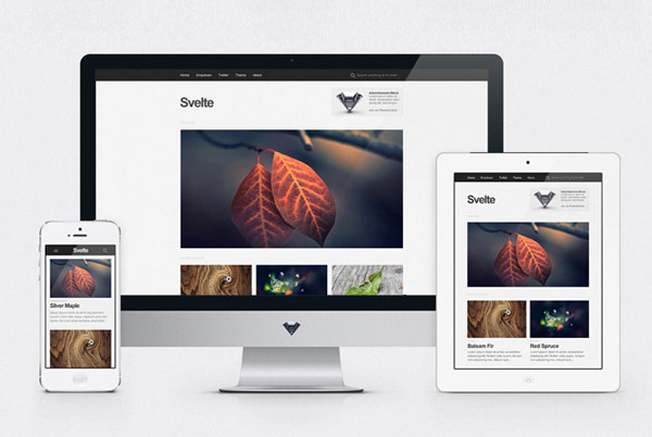 minimal-portfolio-wp-theme-02