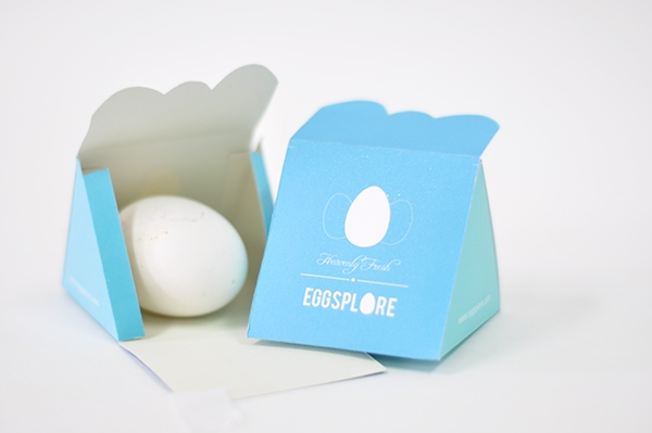 egg-packaging-12