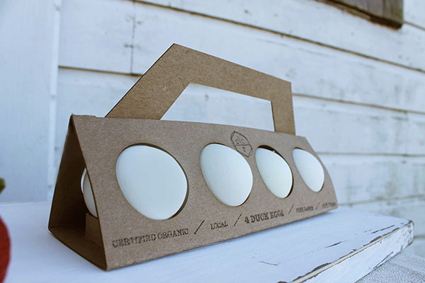 egg-packaging-19