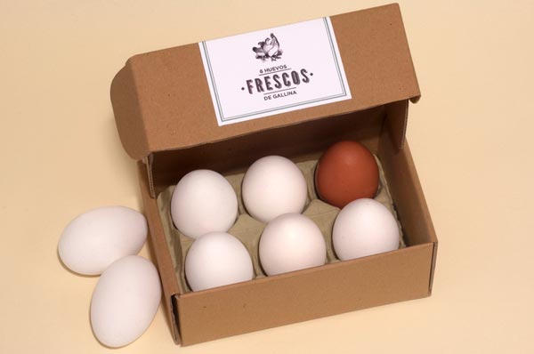 egg-packaging-22