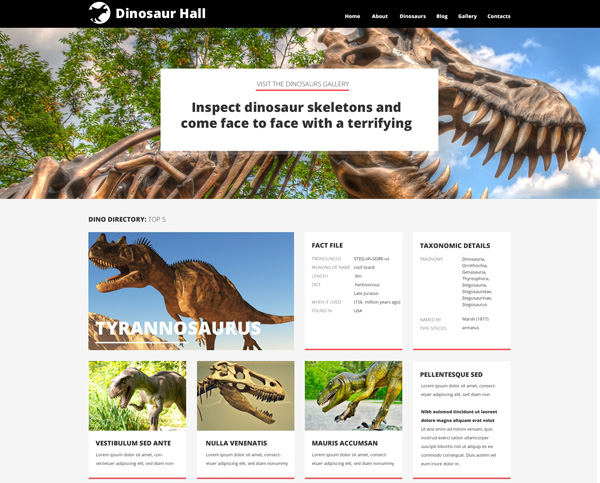 museum-wordpress-theme-10