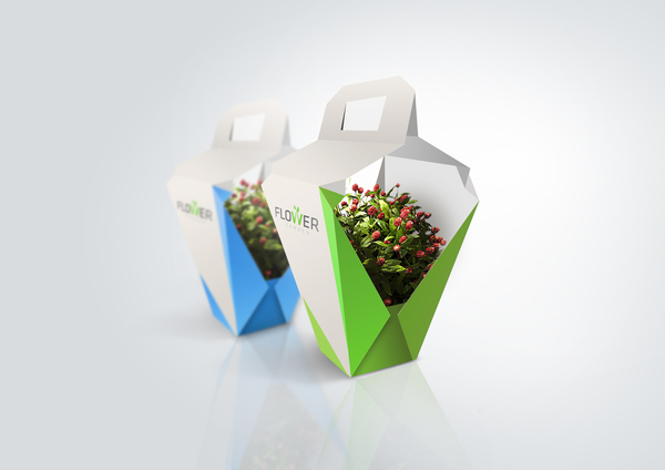 Flower Packaging 11