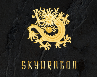 dragon logo 07