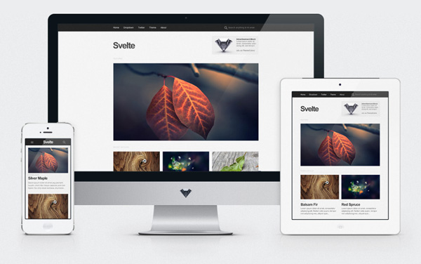 portfolio-wordpress-theme-14