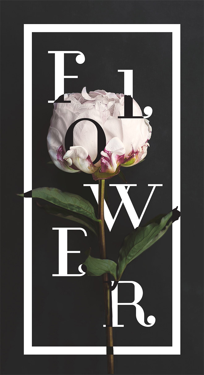 Floral Typography 30