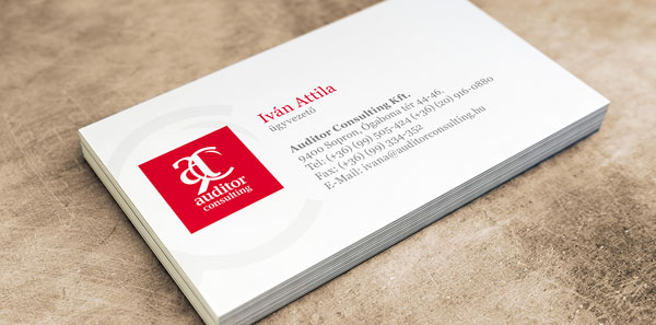 Accountant Business Card 10