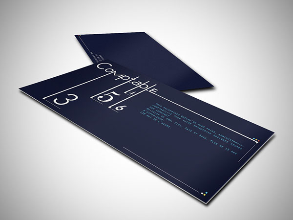 Accountant Business Card 11