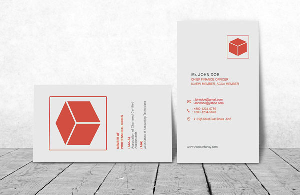 Accountant Business Card 12