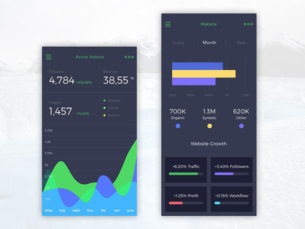 Analytics Chart 16