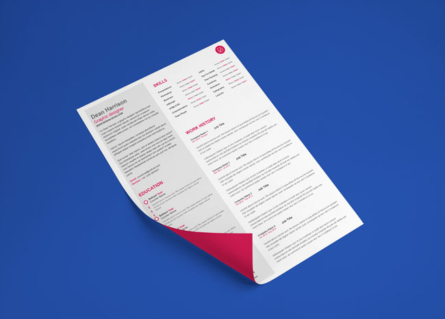 Free Indesign Resume Template 1