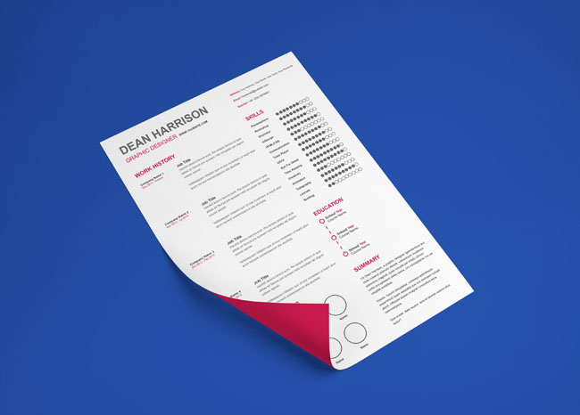 Free Indesign Resume Template 2