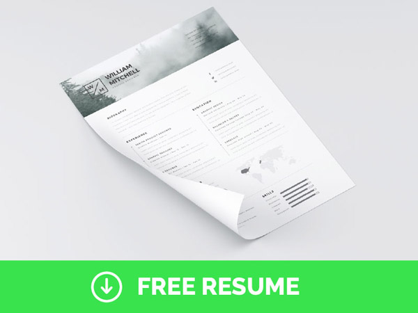 Free Minimal Resume Template 11