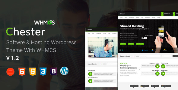 Hosting WordPress Theme WHMCS 20