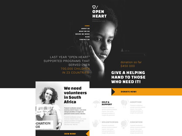 Joomla Charity Template 17