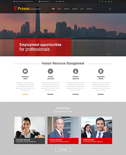 Professional Employment WordPress Theme