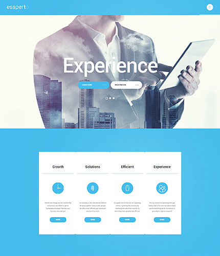 Business Consultant WordPress Theme